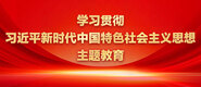 浪逼影院学习贯彻习近平新时代中国特色社会主义思想主题教育_fororder_ad-371X160(2)